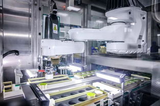 茶叶百年战争与小罐茶的阳谋 7000字深度