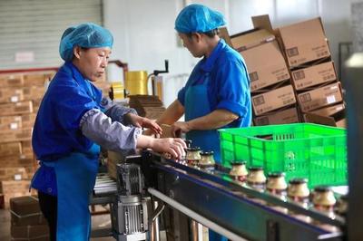 特色农业提档升级 莱芜辣椒酱生产线助力品牌农产品叫响世界